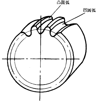 正弦曲线双圆弧齿廓齿轮形状示意图
